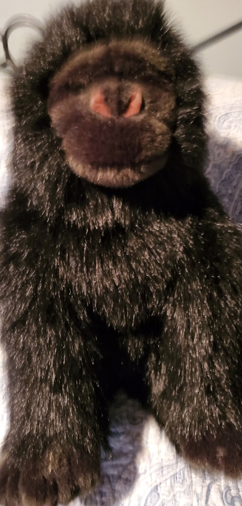 TY stuffed Gorilla.    Excellent shape.    NSH.